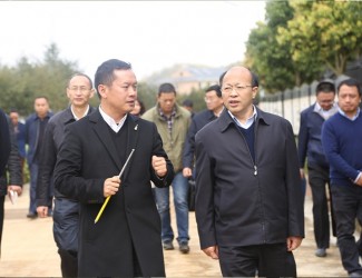 云南省委常委、副書(shū)記李秀領(lǐng)一行到苗鄉(xiāng)三七科技示范園考察調(diào)研