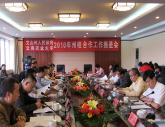 苗鄉(xiāng)三七與云南農(nóng)大簽署校企合作協(xié)議，構(gòu)建了戰(zhàn)略聯(lián)盟關(guān)系