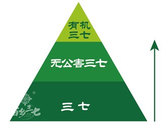 三七有幾個等級？分級依據(jù)是什么？