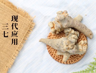 三七的功效作用在現(xiàn)代臨床中的應(yīng)用，揭秘醫(yī)生如何用三七治病