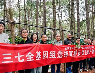 無(wú)數(shù)次從零到一，無(wú)數(shù)人前赴后繼守護(hù)三七“種業(yè)芯片”